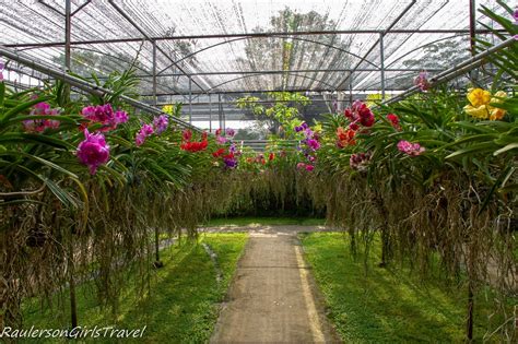 Bai Orchid Butterfly Farm: Renowned Beauty Amidst the Bustling City of Bangkok!