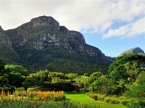  Kirstenbosch Milli Parkı Güzel Bitki Yaşamıyla Dolu Harika Bir Doğa Ekosistemi!