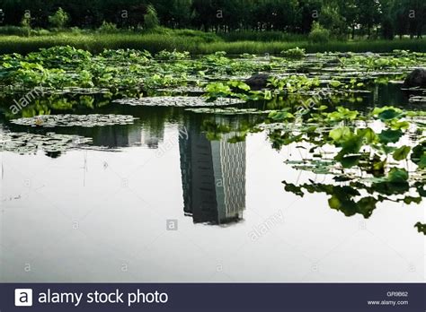  Ilsan Lake Park: Yeşil Bir Cennet ve Sakin Suyun Ölesiye Güzelleştiren Yansımaları!