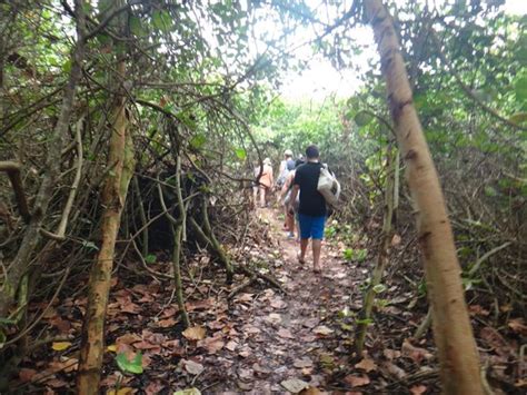 Parque Tayrona Şelaleleri ve Deniz Fırtınasıyla Buluşun!